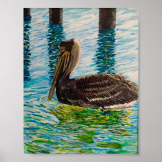 Pelican in het zonlicht van de Florida Keys. Poster