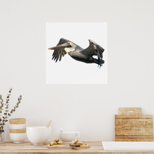 Pelican in poster (Keuken)