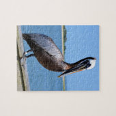 Pelican in Southport Legpuzzel (Horizontaal)