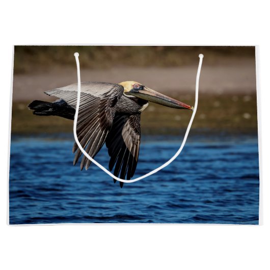 Pelican in vlucht groot cadeauzakje (Voorkant)