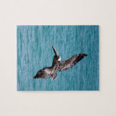 Pelican in vlucht legpuzzel (Horizontaal)