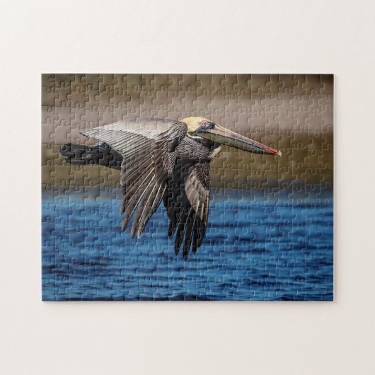 Pelican in vlucht legpuzzel (Horizontaal)