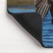 Pelican in vlucht muismat (Hoek)