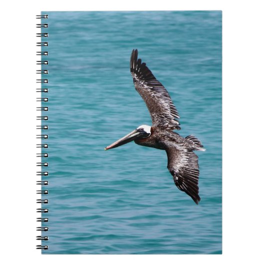 Pelican in vlucht notitieboek (Voorkant)
