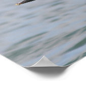 Pelican in vlucht poster (Hoek)