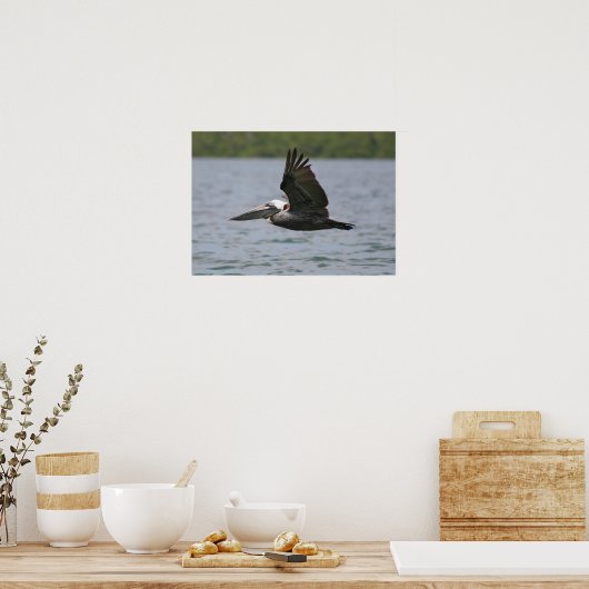 Pelican in vlucht poster (Keuken)