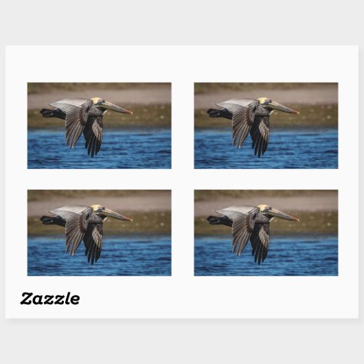 Pelican in vlucht rechthoekige sticker (Vel)