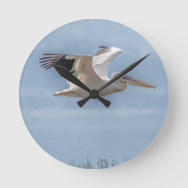 Pelican in vlucht ronde klok