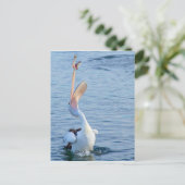 Pelican in water bij het vangen van vis in de luch briefkaart (Staand voorkant)
