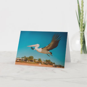 Pelican Kaart