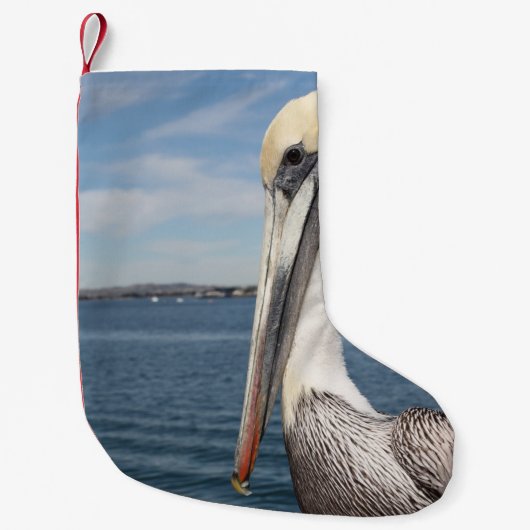 Pelican Kleine Kerstsok (Voorkant)