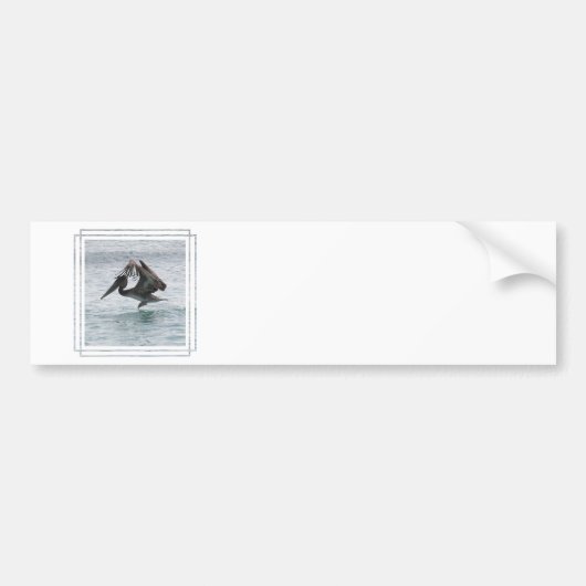 Pelican Landing Bumperstickers (Voorkant)