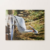 Pelican Legpuzzel (Horizontaal)