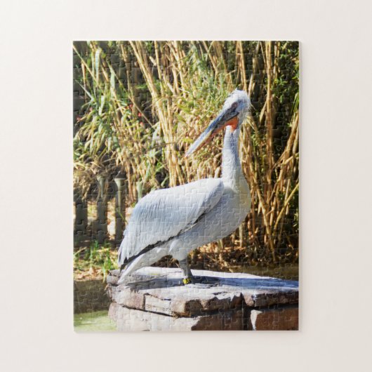Pelican Legpuzzel (Verticaal)