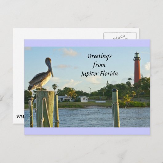 Pelican & Lighthouse Briefkaart (Voorkant / Achterkant)