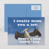 Pelican Love_ Briefkaart (Voorkant / Achterkant)