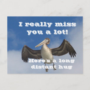 Pelican Love_ Briefkaart