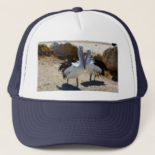 Pelican Love, Pet