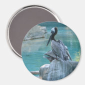 Pelican Magneet (Voorkant / Achterkant)