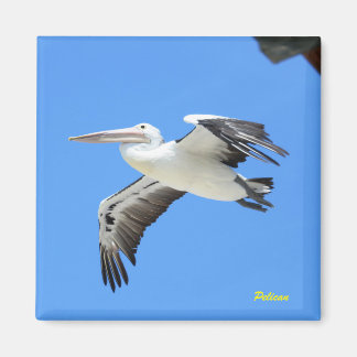 Pelican Magneet