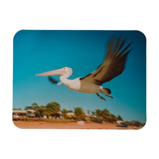 Pelican Magneet (Horizontaal)