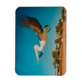 Pelican Magneet (Verticaal)