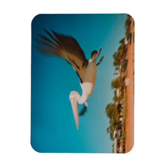 Pelican Magneet (Verticaal)