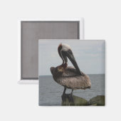 Pelican Magnet (Voorkant / Achterkant)
