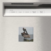 Pelican Magnet (Insitu (Vaatwasser))