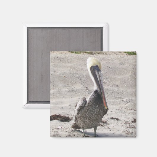 Pelican Magnet (Voorkant / Achterkant)