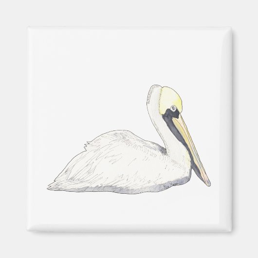 Pelican Magnet (Voorkant)