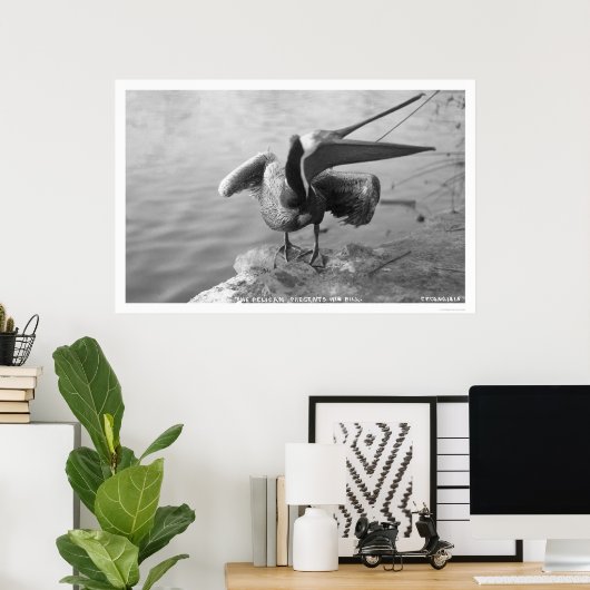 Pelican met Alaska 1918 Poster (Thuiskantoor)