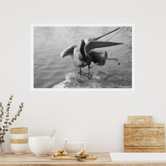 Pelican met Alaska 1918 Poster (Keuken)