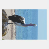 Pelican met de "look", cadeaubonen inpakpapier vel (Voorkant 3)