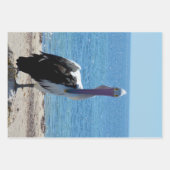 Pelican met de "look", cadeaubonen inpakpapier vel (Voorkant 2)