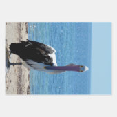 Pelican met de "look", cadeaubonen inpakpapier vel (Voorkant)