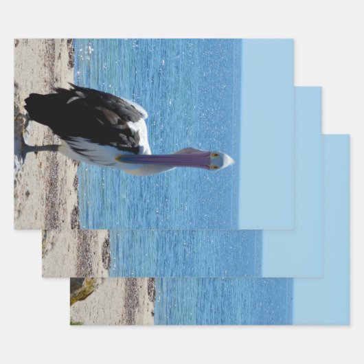 Pelican met de "look", cadeaubonen inpakpapier vel (Set)