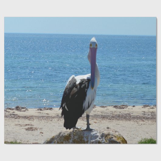 Pelican met de "look", cadeaupapier (Vlak)