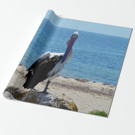 Pelican met de "look", cadeaupapier (Uitgerold)