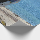 Pelican met de "look", cadeaupapier (Hoek)