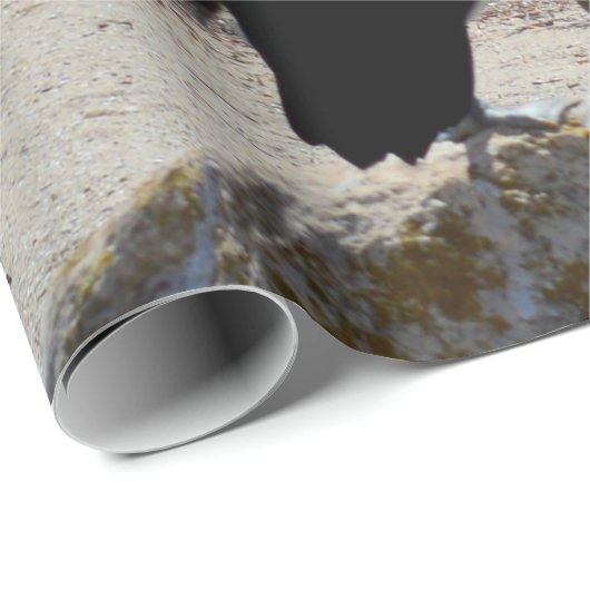 Pelican met de "look", cadeaupapier (Rol Hoek)