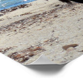 Pelican met de "look", Poster (Hoek)