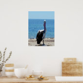 Pelican met de "look", Poster (Keuken)