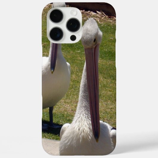 Pelican met een standvastigheid, Case-Mate iPhone case (Achterkant)
