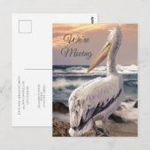 Pelican Ocean Beach Coastal Change Address Moving Briefkaart (Voorkant / Achterkant)