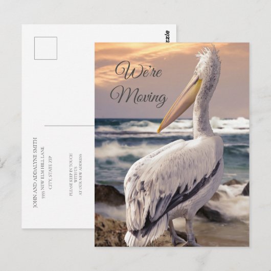 Pelican Ocean Beach Coastal Change Address Moving Briefkaart (Voorkant / Achterkant)
