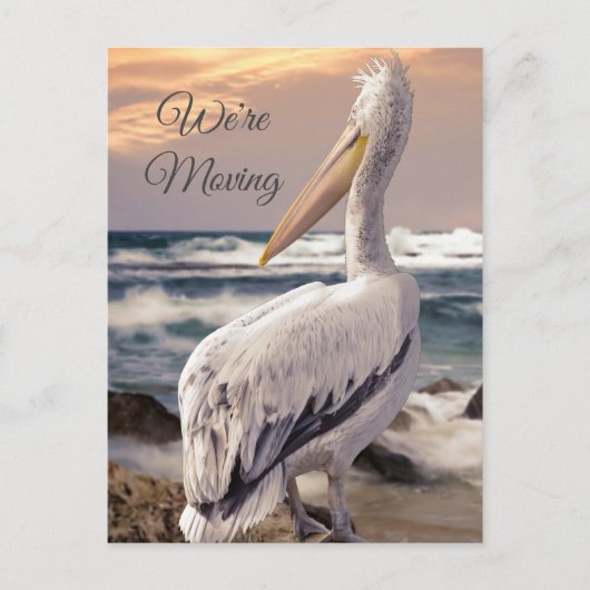 Pelican Ocean Beach Coastal Change Address Moving Briefkaart (Voorkant)