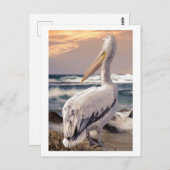 Pelican Ocean Beach Waves Sunset Briefkaart (Voorkant / Achterkant)