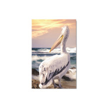 Pelican Ocean Beach Waves Sunset