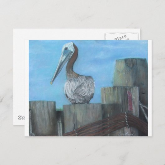 Pelican of Hatteras Ferry Briefkaart (Voorkant / Achterkant)